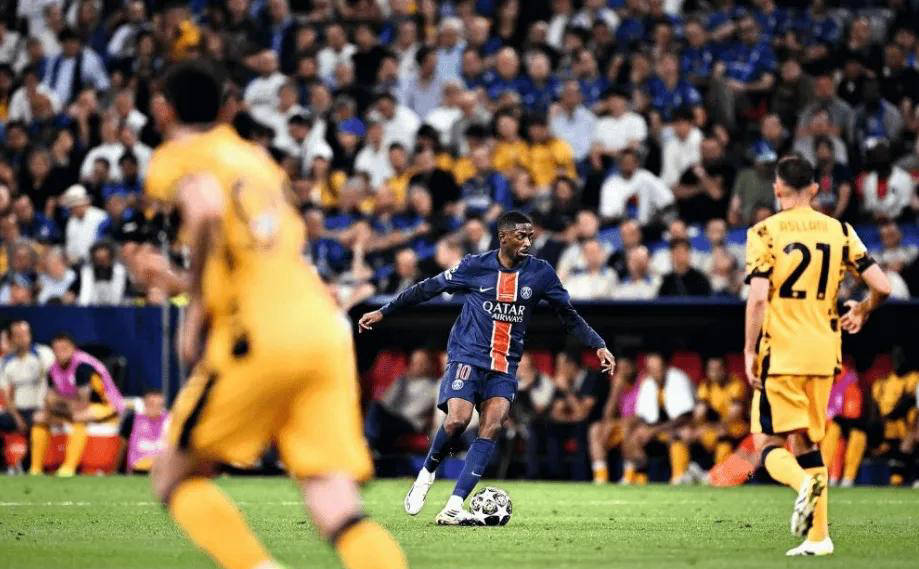 它不仅是巴 它不仅是巴